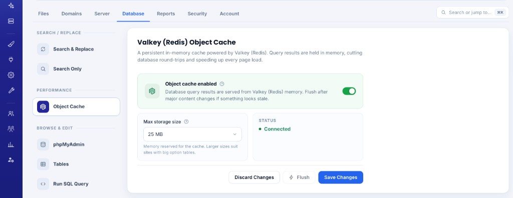 Valkey (Redis) Object Cache