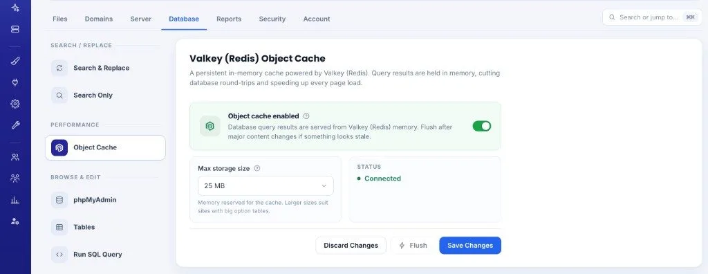 Valkey (Redis) Object Cache