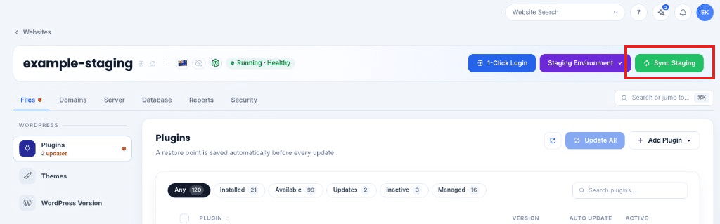 Sync Staging on the staging website