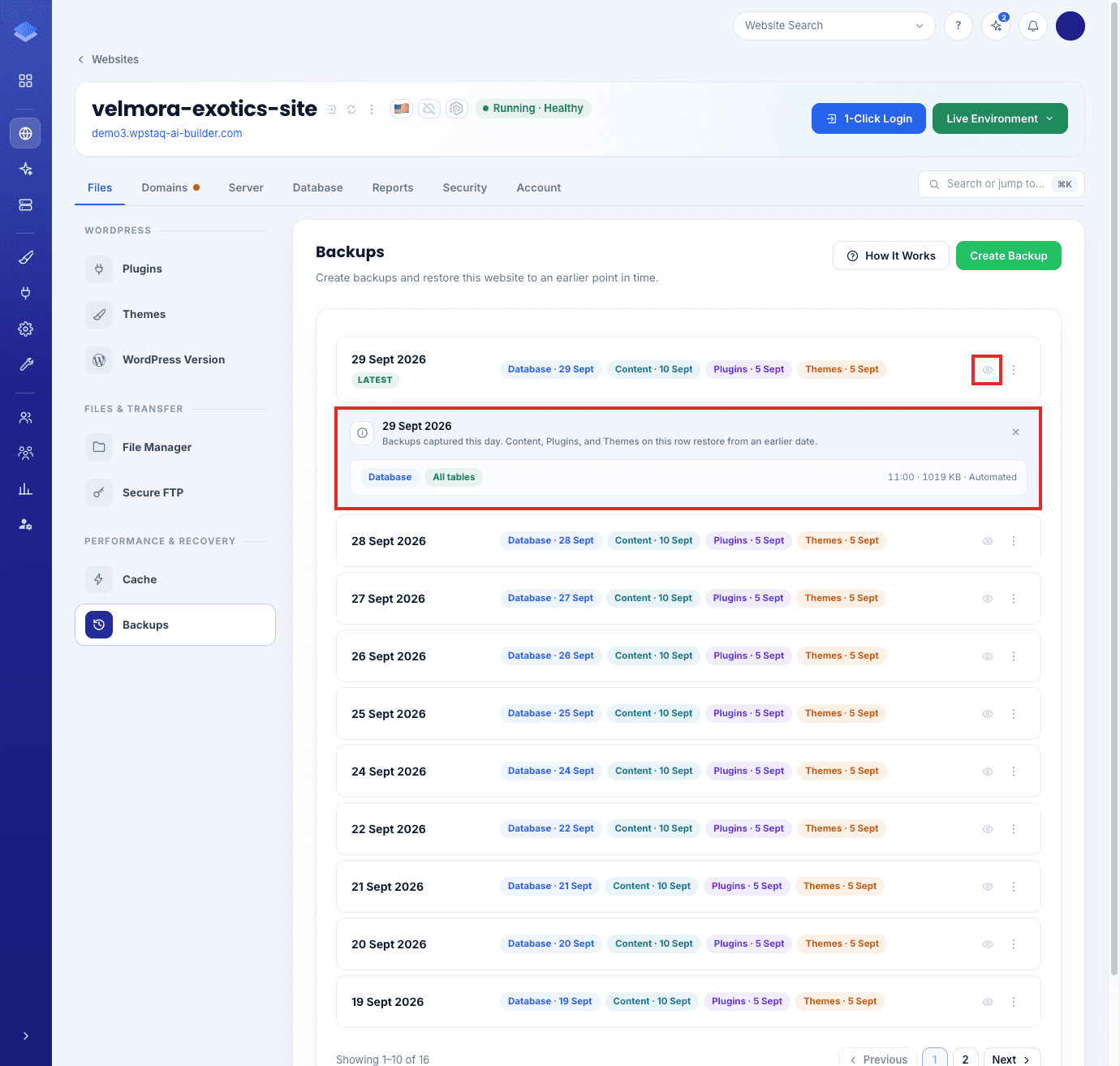 View Details on a backup day